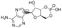 3'-5' Cyclic adenosine monophosphate(60-92-4)